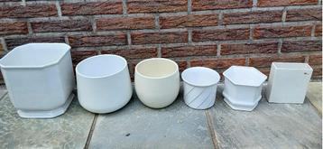 vazen  en bloempotten beschikbaar voor biedingen