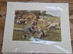 Ot en Sien prent, Bos aan 't Schaapscheren, schapen prent, Verzamelen, Foto's en Prenten, 1980 tot heden, Nieuw, Ophalen of Verzenden