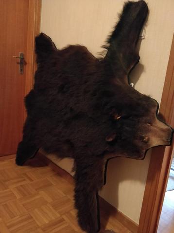 ours en peau d'ours, Enlèvement