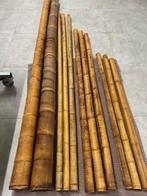 Bamboetakken terrarium, Solar Glo 160W, korrels & planten, Enlèvement, Comme neuf, Éclairage