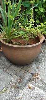 bloempotten, Jardin & Terrasse, Pots de fleurs, 25 à 40 cm, Intérieur, Rond, Enlèvement