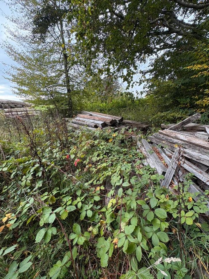 Een lot eiken kinderbalken, Tuin en Terras, Brandhout, Eikenhout, 3 tot 6 m³, Ophalen