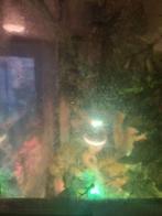 Boa constroctor van 2018, Animaux & Accessoires, Reptiles & Amphibiens | Accessoires, Enlèvement, Comme neuf