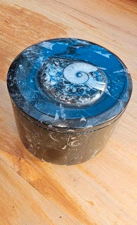Fossiliseerde stenen doos met ammoniet, Verzamelen, Blikken, Zo goed als nieuw, Ophalen of Verzenden