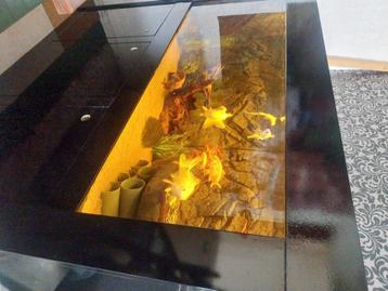 Aquarium 160 x 60 x 60 cm beschikbaar voor biedingen