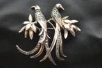 Superbe Broche Ancienne oiseaux Paradis Arg. 935 Marcassites, Enlèvement, Argent, Broche