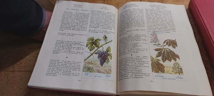 Boeken, Boeken, Overige Boeken, Zo goed als nieuw, Ophalen