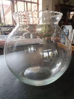 Bocal à poissons et accessoires déco pour aquarium, Animaux & Accessoires, Enlèvement