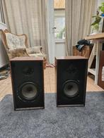 Audio Professional AP 30, Audio, Tv en Foto, Luidsprekerboxen, Gebruikt, 60 tot 120 watt, Center speaker, Ophalen
