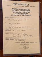 Schilderij  "Fue Piedra y perdi mi centro" (Mon Camelbeke), Enlèvement