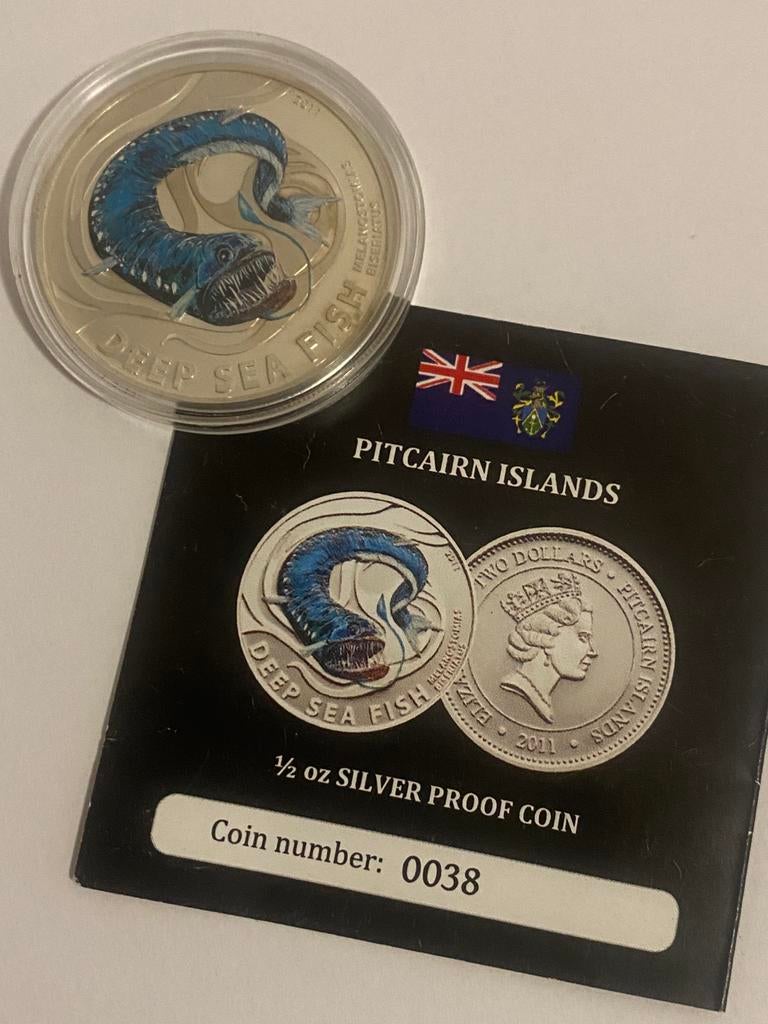 Zeldzame zilver munt 2011 - Pitcairn Islands - 0.5oz, Enlèvement ou Envoi, Argent