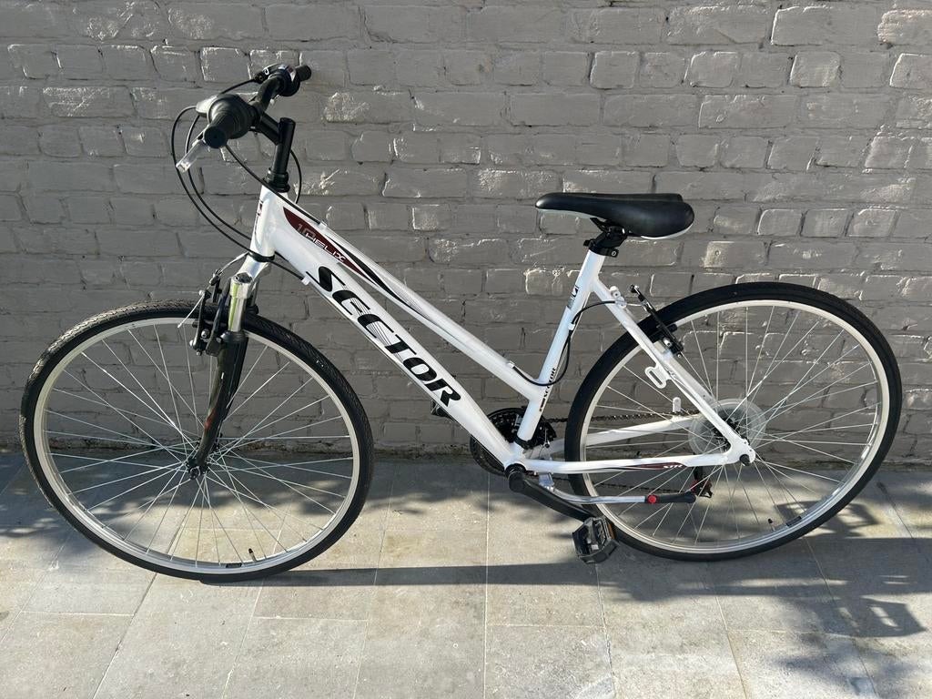 Nieuwe Fiets frame maat 50, 47 tot 50 cm, Nieuw, 15 tot 20 versnellingen, Ophalen