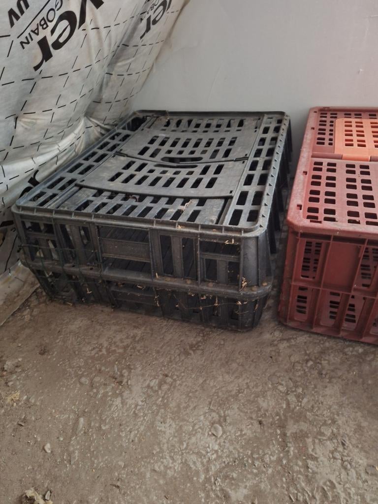 Transport baken kippen, Ophalen