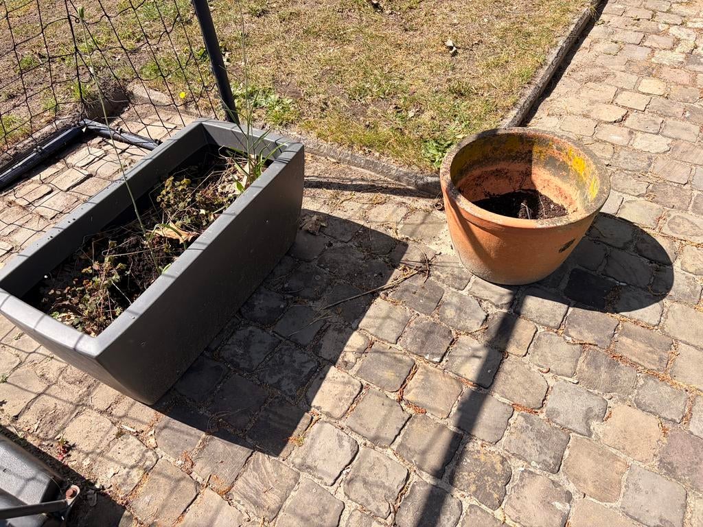 Gratis bloempotten, Tuin en Terras, Ophalen, Gebruikt