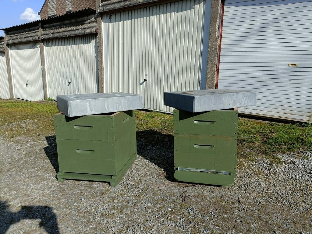 Bijenkasten + nieuwe ramen, Diversen, Overige Diversen, Gebruikt, Ophalen