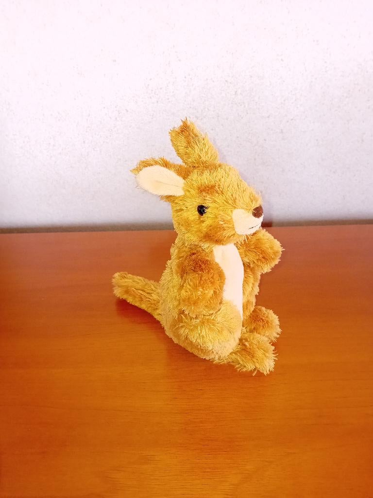 Wild republic pluche eekhoorn knuffel, Kinderen en Baby's, Speelgoed | Knuffels en Pluche, Ophalen, Gebruikt, Klein (minder dan 20 cm)