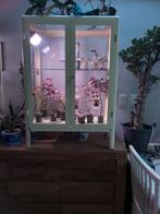 Serre Ikea vitrinekast, Enlèvement