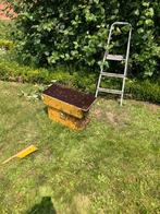 Bijenzwermen vangen, Bijen