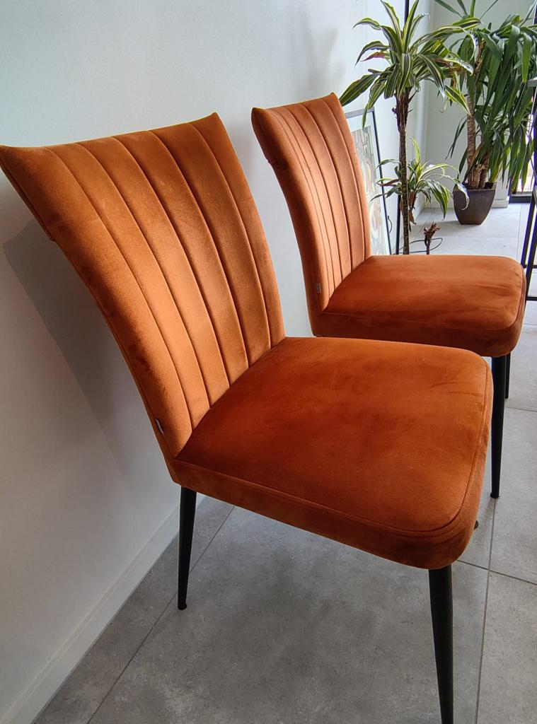 Chaises de salle à manger Trin (2 pièces), Autres couleurs, Comme neuf, Deux, Enlèvement