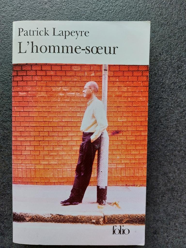 Patrick Lapeyre - l'homme-soeur, Livres, Romans, Comme neuf, Europe autre, Enlèvement