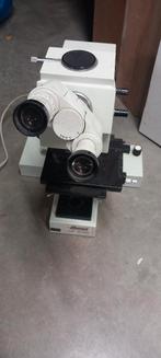 Microscope Carl Zeiss Iéna, Enlèvement, Ne fonctionne pas, Microscope biologique