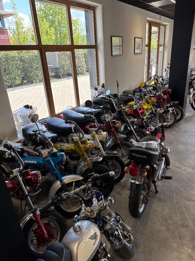 Honda Monkey, Dax, SS, Zoomer, Solo, Ape enz, Vélos & Vélomoteurs, Autres modèles, 4 vitesses, 49 cm³, Classe B (45 km/h)