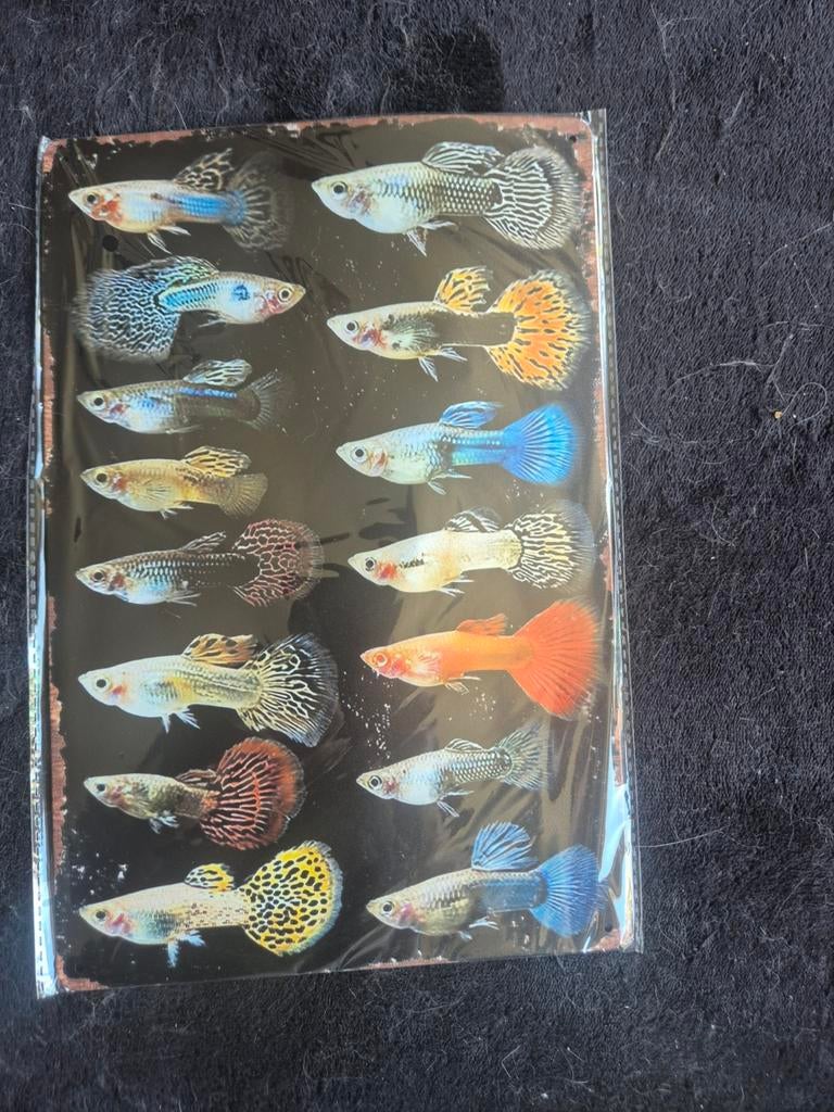 Metalen plaat guppy's, Dieren en Toebehoren, Verzenden