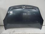 CAPOT Citroën Xsara Picasso (CH) (01-1999/06-2012), Utilisé, Citroën, Capot moteur