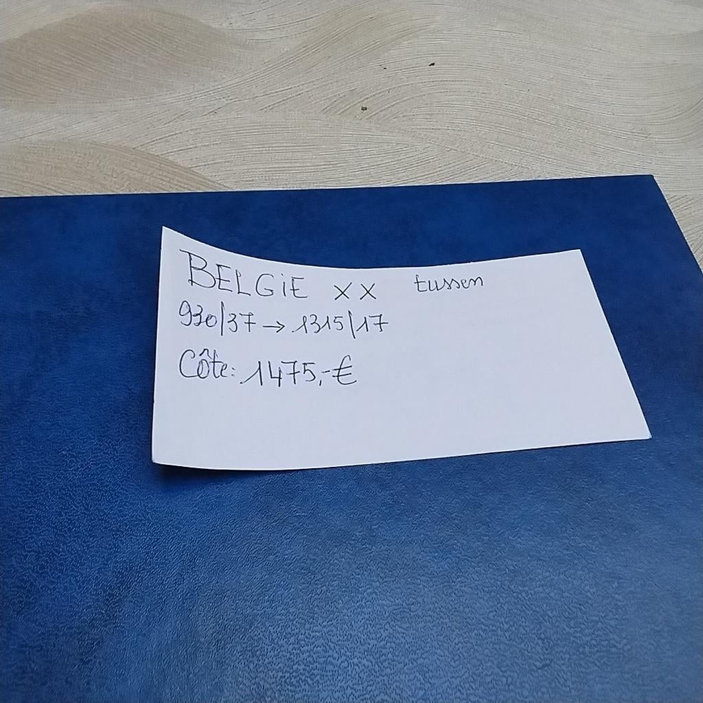 BELGIQUE collection XX ts.930/1317 cote 1475,00€, Enlèvement ou Envoi