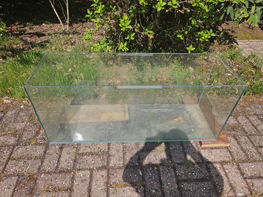 Aquarium, Dieren en Toebehoren, Ophalen