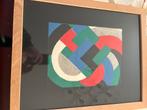 Œuvre : Sonia Delaunay, dessinée à la main en bas à gauche, Enlèvement