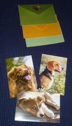 Lot de 3 cartes + enveloppes – thème chiens – neuf, Enlèvement ou Envoi, Neuf
