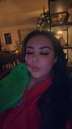 Edelpapegaai met kooi en toebehoren, Dieren en Toebehoren, Vogels | Parkieten en Papegaaien, Tam