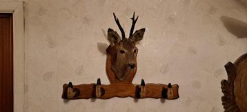 Opgezette Reebok wapenrek beschikbaar voor biedingen