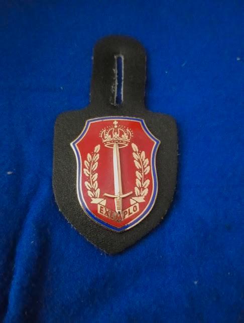 ABL-Borstzakhanger, Verzamelen, Militaria | Algemeen, Landmacht, Embleem of Badge, Ophalen of Verzenden