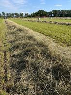 Midi balen hooi, Dieren en Toebehoren, Ophalen, Overige soorten