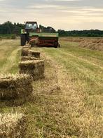 Kleine pakken hooi, Dieren en Toebehoren, Paarden