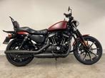 Harley-Davidson Cruiser SPORTSTER XL883N IRON (bj 2017), Motoren, 883 cc, Meer dan 35 kW, Overig