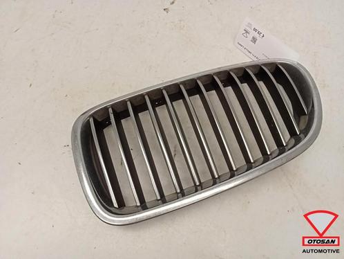 BMW 5 Serie F10 F11 Grille Nieren Links 51137261355, Auto-onderdelen, Carrosserie, BMW, Links, Gebruikt