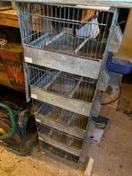 Cage, Animaux & Accessoires, Enlèvement, Utilisé