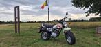 Honda CY50 top 100% origineel bj. 1980 Super gaaf Dax, Fietsen en Brommers, Ophalen, Overige modellen, 49 cc, 4 versnellingen