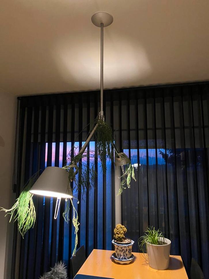Artemide tolomeo plafondlamp alu kleur, Huis en Inrichting, Lampen | Kroonluchters, Gebruikt, Metaal, Ophalen