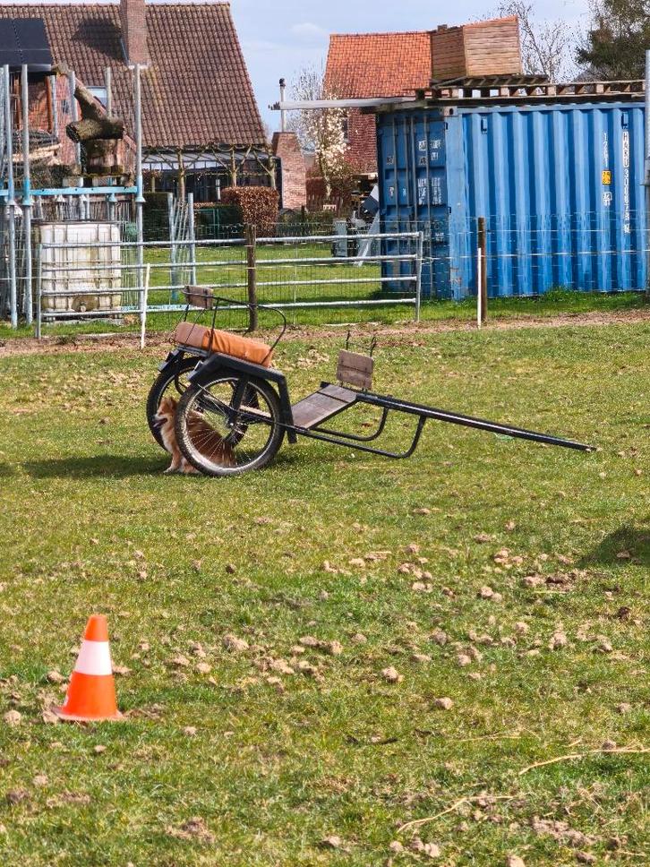 Ongeremde sulky, Dieren en Toebehoren, Rijtuigen en Koetsen, Gebruikt, Sulky, Pony