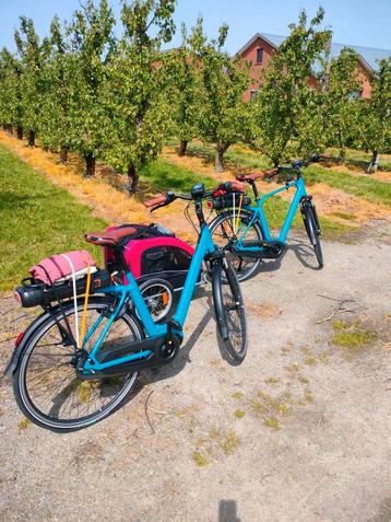 Vélo Qwic pour femmes et hommes, Enlèvement, Comme neuf, Qwic