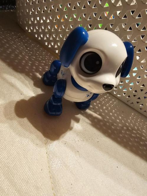 Robot, Hobby en Vrije tijd, Modelbouw | Radiografisch | Auto's, Zo goed als nieuw, Ophalen