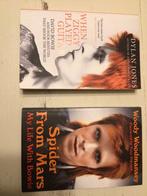 2 boeken mbt David Bowie, Enlèvement ou Envoi