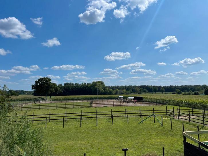 Weide met schuilstal. Inc. verzorging., Dieren en Toebehoren, Stalling en Weidegang, Weidegang