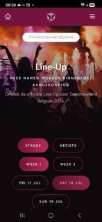 Tomorrowland zaterdag 18 juli, 2 tickets gezocht., Tickets & Billets, Événements & Festivals