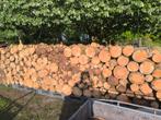 Brandhout droog / nat gekliefd, Tuin en Terras, Brandhout, Ophalen