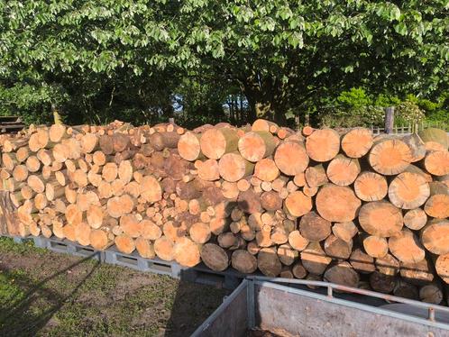 Brandhout droog / nat gekliefd, Tuin en Terras, Brandhout, Ophalen